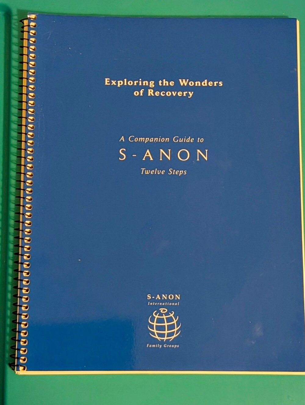 S-ANON Exploring the Wonders of Recovery Companion Guide Workbook